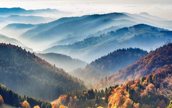 Der hügelige Schwarzwald bei Hinterzarten im Nebel