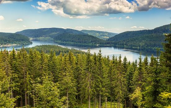 Der schöne Schluchsee eingebettet im Schwarzwald