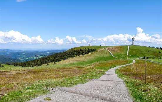 Vom Feldberg zum Schluchsee