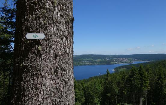 Auf dem Schluchtensteig zum Schluchsee