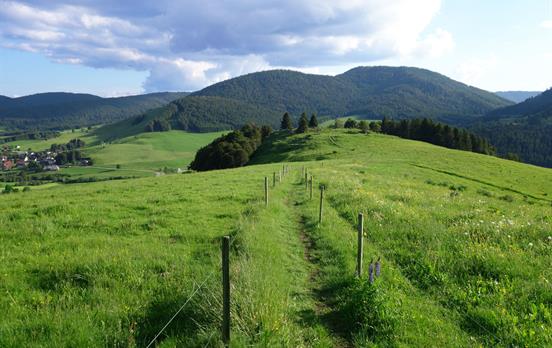Wandern durch schöne Almenlandschaften
