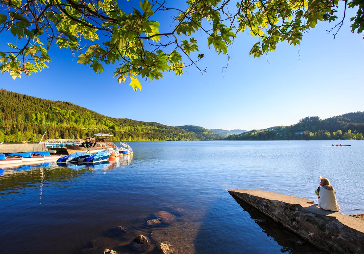 Blick auf den Titisee