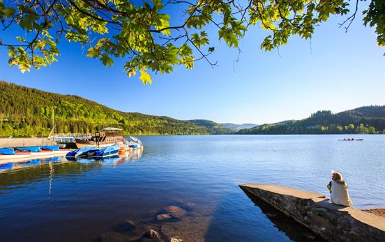 Blick auf den Titisee
