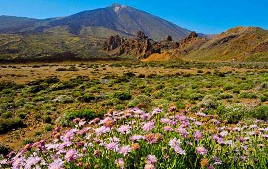 El Teide