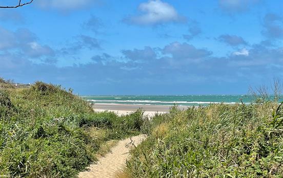 Fußweg durch die Dünen
