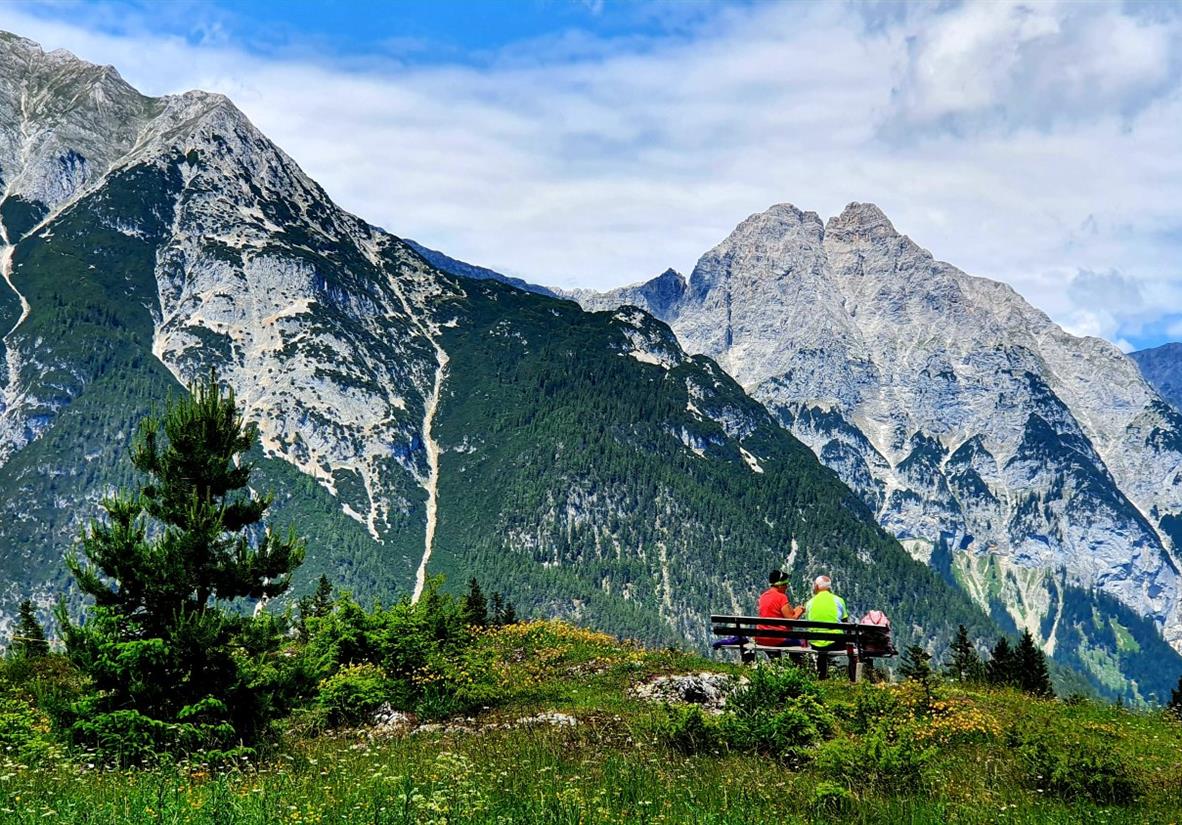 Auf dem Katzenkopf