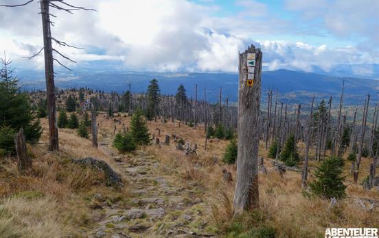 Aufstieg zum Rachel durch faszinierende Landschaft