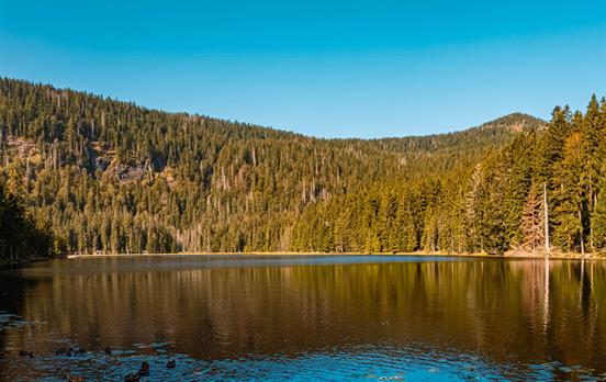 Ein Relikt der Eiszeit - Der Arbersee