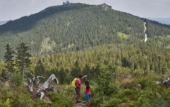 Den Großen Arber in Sicht