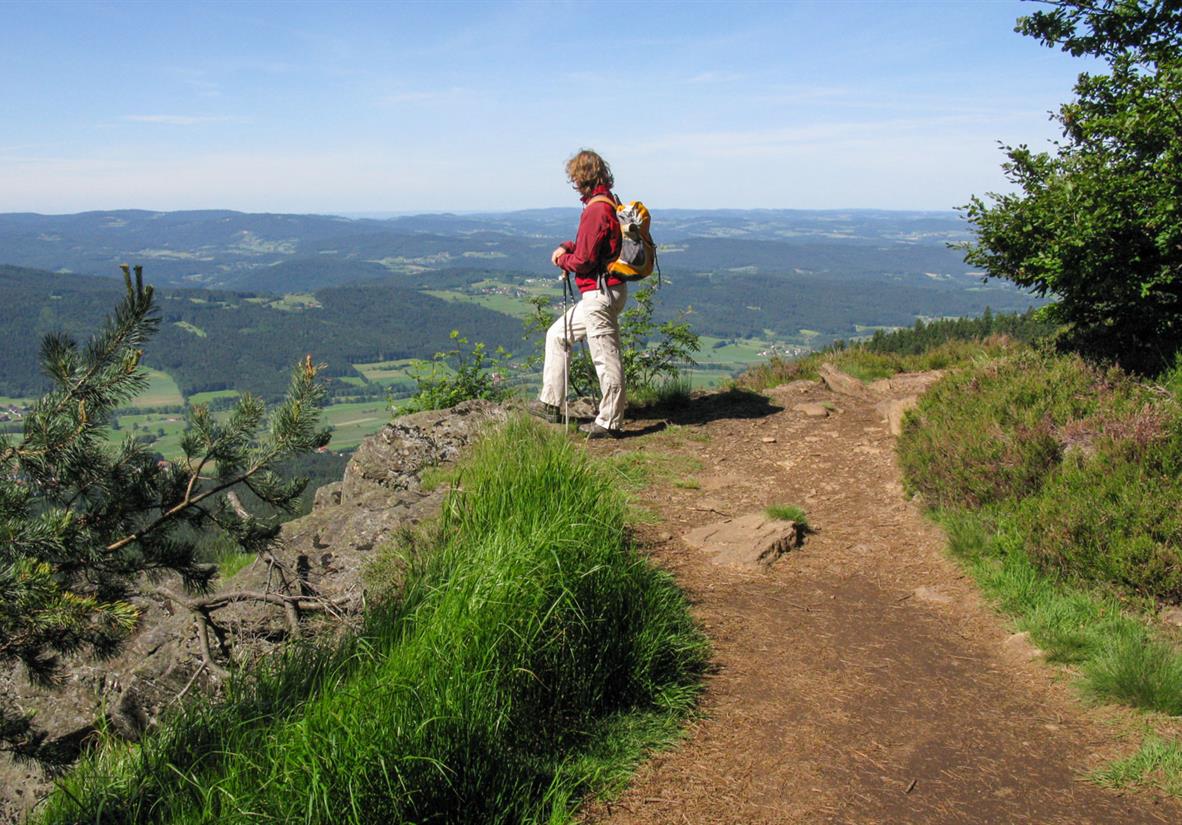 Pfad am Kaitersberg ©Michael Körner