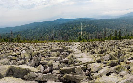 Himmelsleiter und Blockmeer am Lusen