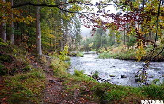 Idyllischer Uferweg nach Zwiesel