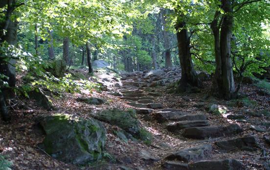 Schönbuchen-Eck © Michael Körner