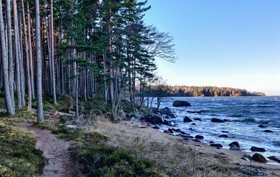 Laheema Nationalpark an der Küste Estlands