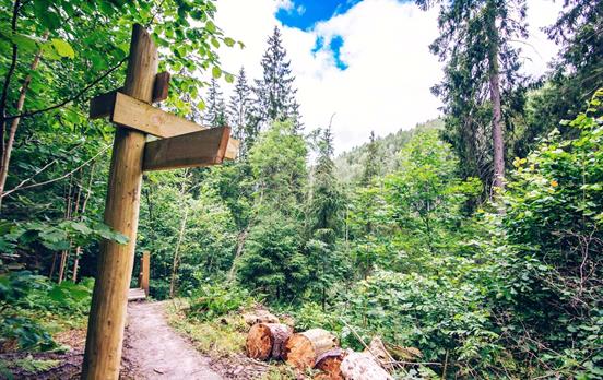 Wanderwege im Gauja Nationalpark