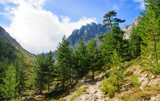 Die Restonica-Schlucht