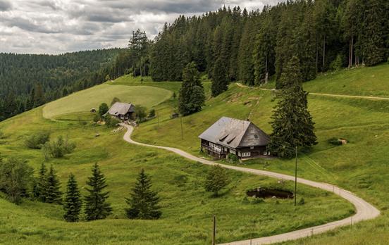 © Schluchtensteig Schwarzwald (K.Hansen)