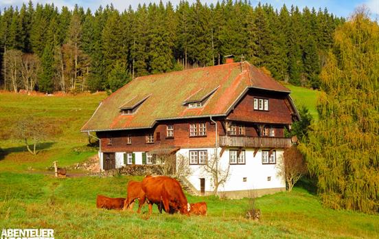Ein uriger Berghof im Muchenland