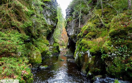 Wildrauschendes Wasser in der Wutachschlucht