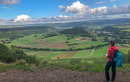 Fantastische Ausblicke auf dem Moselsteig