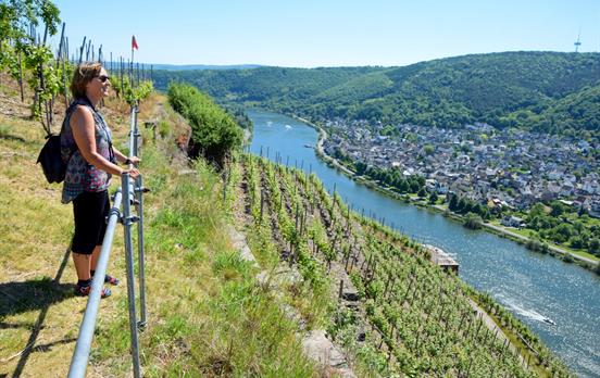 Herrliche Aussichten auf dem Moselsteig