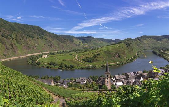Moselschleifen und Weinberge