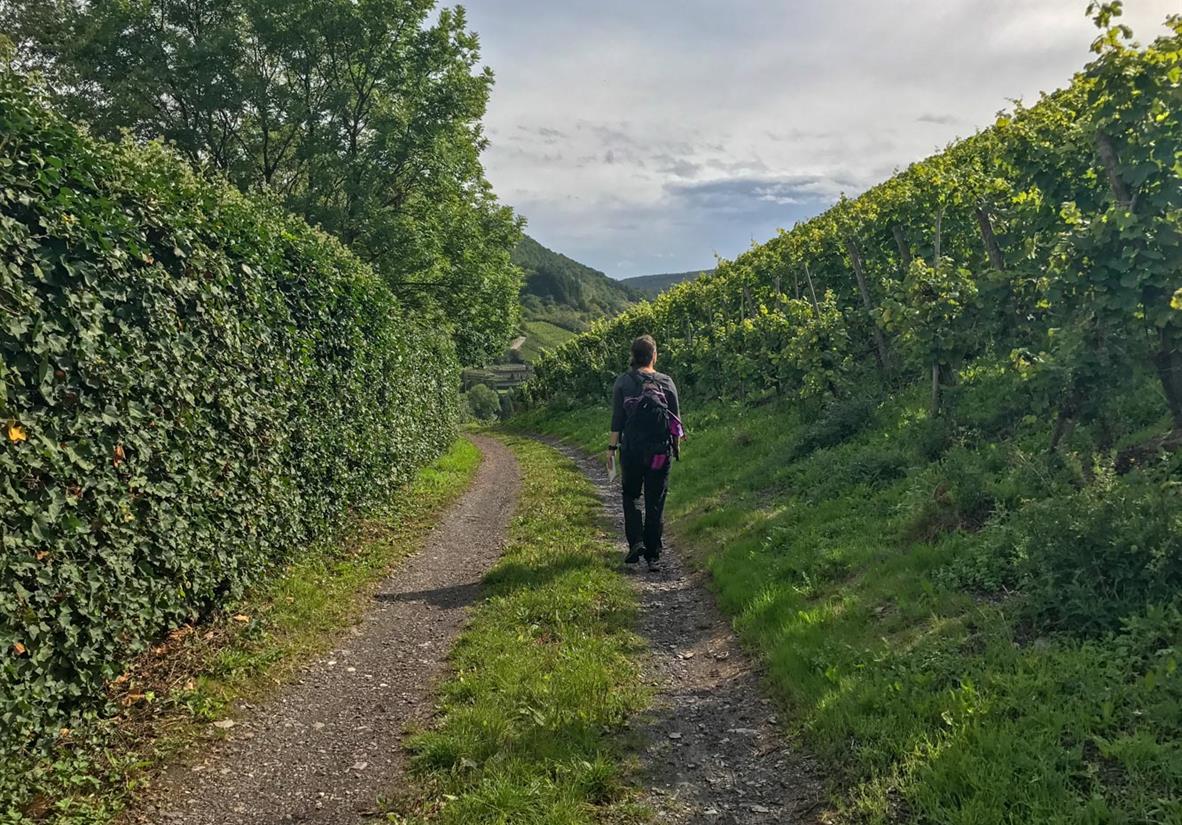 Gemütlich unterwegs im Moseltal