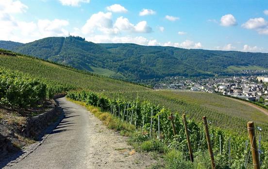 Auf gemütlichen Wegen von Ort zu Ort