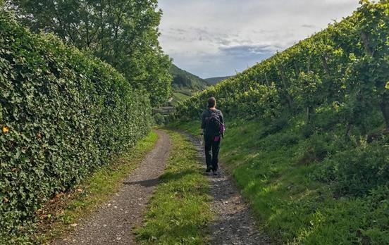 Gemütlich unterwegs im Moseltal