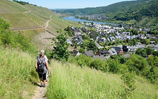 Abstieg nach Winningen