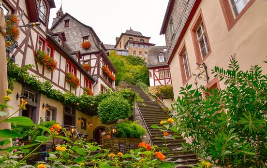 Bildstein - Dornrösschen der Mosel