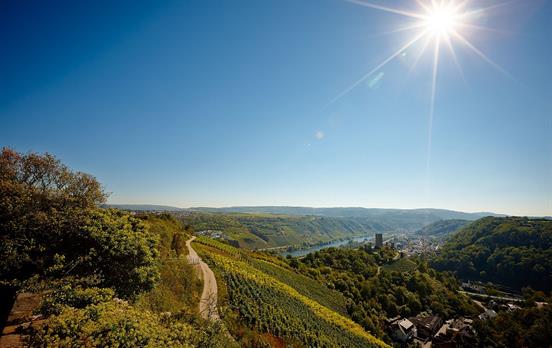 Die Niederburg bei Kobern-Gondorf
