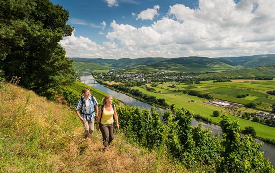 Wanderpfad auf dem Moselsteig