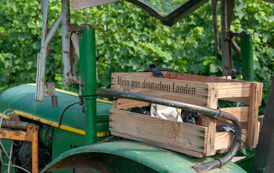 Probieren Sie sich durch die Moselweine