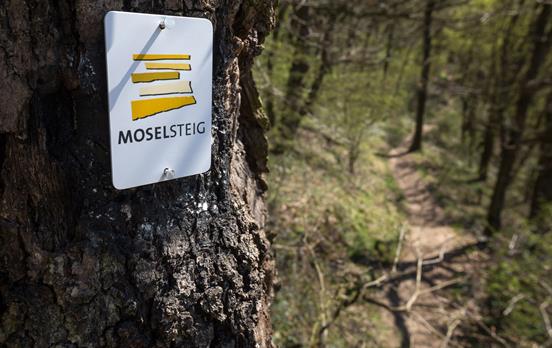 Der Moselsteig ist bestens markiert