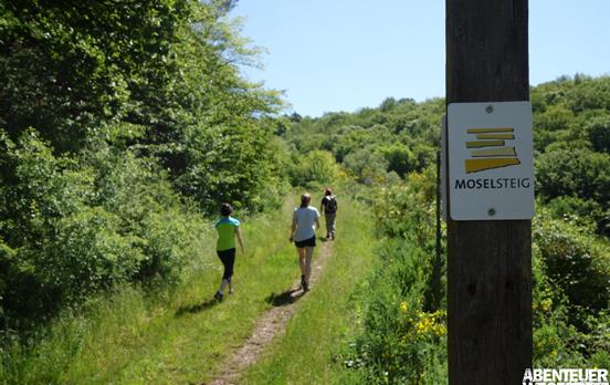 Bestens ausgeschildert - der Moselsteig