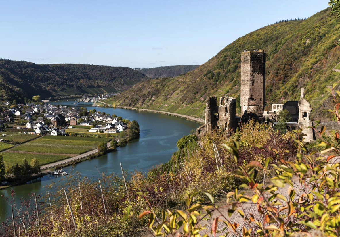 Burg Metternich in Bildstein