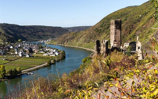 Burg Metternich in Bildstein