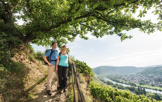 Herrliche Aussichten auf das Moseltal