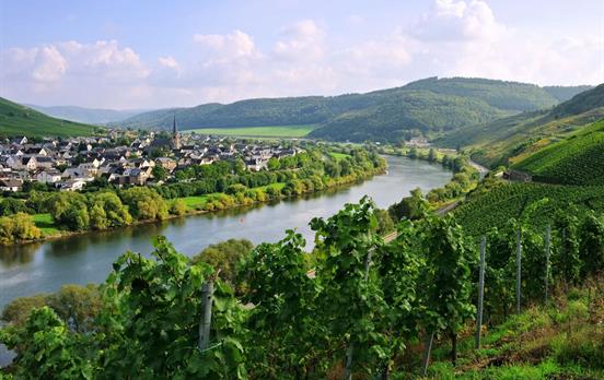 View of Zeltingen-Rachtig from a vineyard