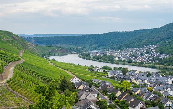 Weinbergswege parallel zur Mosel