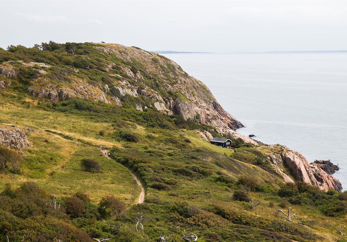 Der Kullaberg mit seinen schroffen Klippen