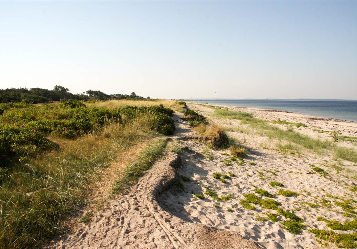 Der Wanderweg führt entlang der Küstenlinie