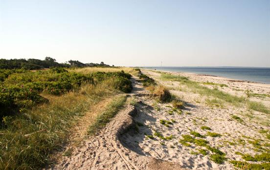 Der Wanderweg führt entlang der Küstenlinie
