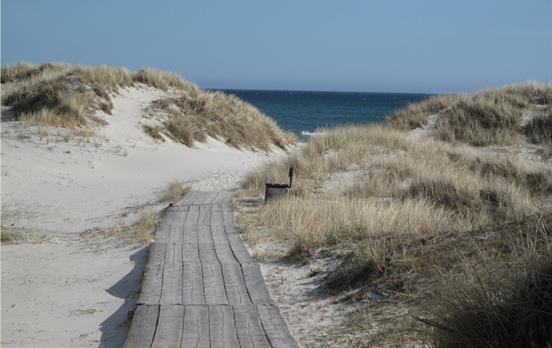 Küstenwandern auf dem Österlenleden