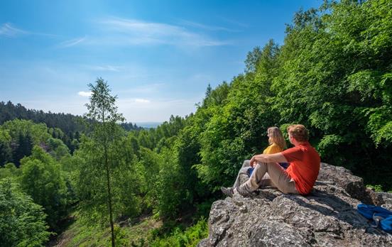 Auf dem Losheimer Felsenpfad