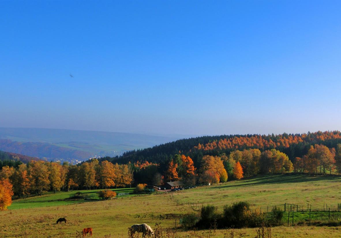 Ausblick auf die Hochwaldalm
