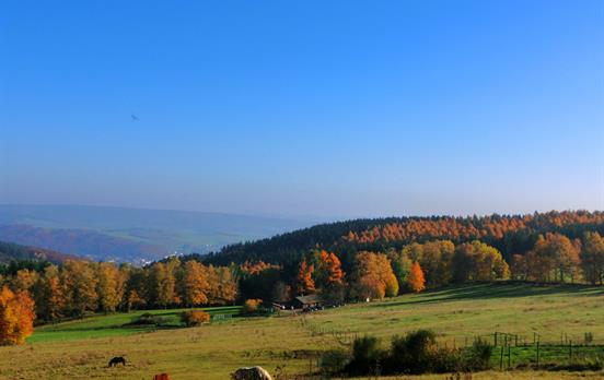 Ausblick auf die Hochwaldalm