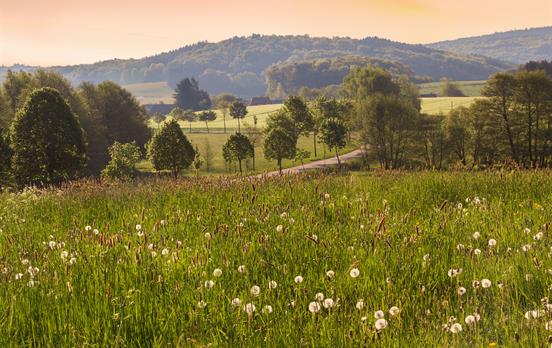 Morgenstimmung auf dem Saar-Hunsrück-Steig