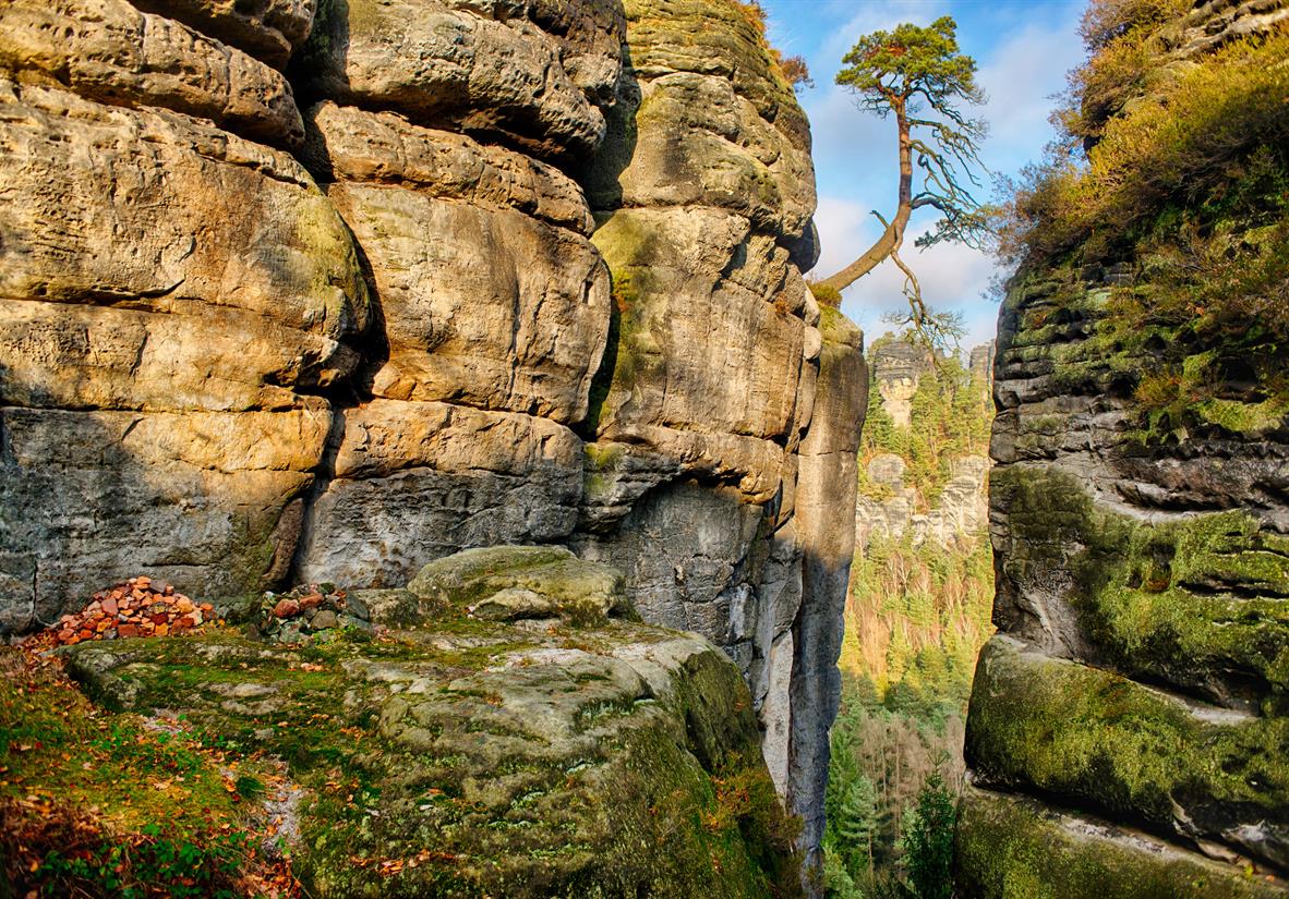 Traumhafte Aussichten in der Sächsischen Schweiz